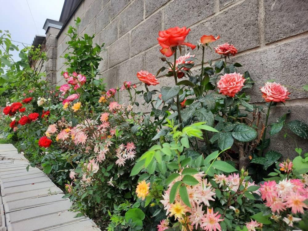 Homestay Jaisel Bishkek Ngoại thất bức ảnh