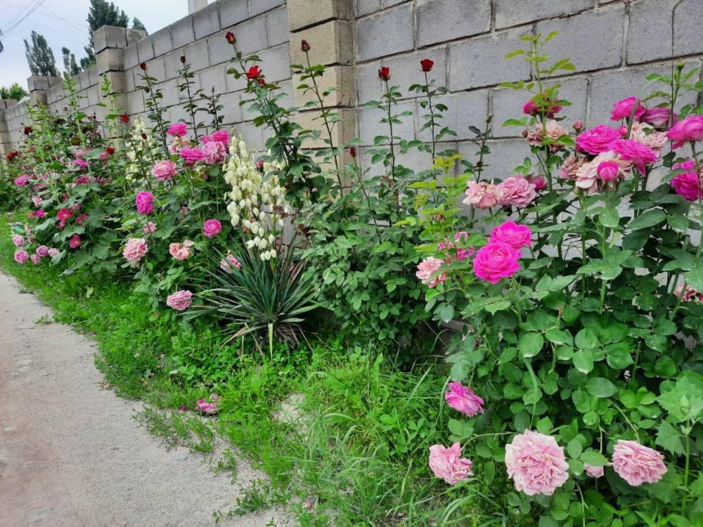 Homestay Jaisel Bishkek Ngoại thất bức ảnh